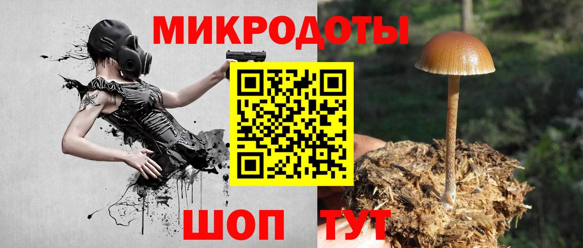 Галлюциногенные грибы MAGIC MUSHROOMS Чебаркуль