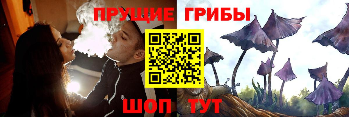 Галлюциногенные грибы Magic Shrooms  закладки  Чебаркуль  Вход с VPN  Псилоцибиновые грибы прущие грибы 